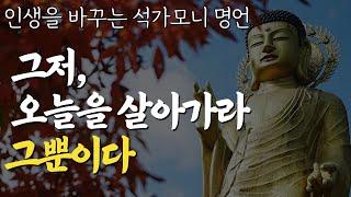 부처님 명언 | 마음이 편안해 지는 석가모니의 가르침 | 평온한 인생을 사는 비결 | 나이들수록 지혜로운 사람이 되는 비법 | 인생조언 | 삶의지혜 l 행복한노후 l 오디오북 법정