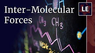 Intermolecular forces - ion, dipole, London dispersion and hydrogen bonds explained