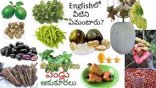 Names of Vegetables, Fruits, Leafy vegetables in telugu and english | Vocabulary | Telugu to english