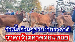 พาชมบรรยากาศซื้อขายวัวตลาดดอนทอย อ.อากาศ จ.สกลนคร 10/3/68 #ราคาวัววันนี้