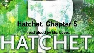 Hatchet, by Gary Paulsen, Chapter 5, read aloud by Ms. Love