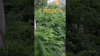 하늘님 제부탁들어주실게죠?~~