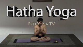 Hatha Yoga w/ Stephen Beitler