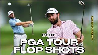 CRAZY FLOP SHOT ON THE PGA TOUR BY CAMERON YOUNG - MUST WATCH!