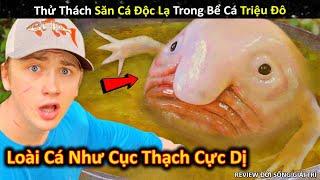 Thử Thách Săn Tìm Cá Độc Lạ Trong Bể Cá Triệu Đô Và Phát Hiện Kinh Hoàng || Review Giải Trí Đời Sống