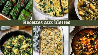 La blette transformée en 6 plats gourmands et réconfortants