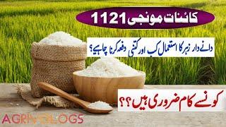 1121 Kainat Basmati How to use cartap hydrochloride? Monomehypo ? Best results// visit agrivologs