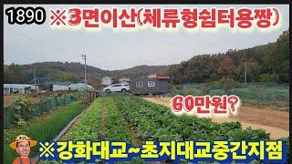 ※해안도로가까운,산골마을※강화도토지 강화도땅 강화도부동산 강화도농막 강화도농가주택 강화도전원주택 김포토지 강화농지 부성부동산Tv