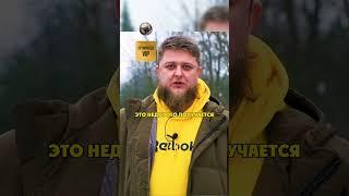 Разница Лексуса и Крузера / Михеев и Павлов