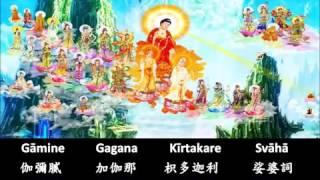 Sukhavati-Vyuha Dharani - Amitabha Pure Land Rebirth Mantra 往生淨土神咒