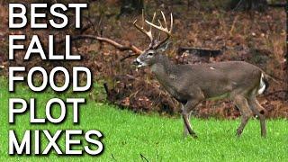 BEST Fall Food Plot Blends For Whitetails