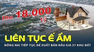 Liên tục Ế ẨM, Đồng Nai tiếp tục đề xuất bán đấu giá 37 khu đất, thu 18.000 tỷ đồng | CafeLand