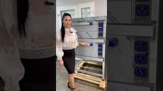 Жарочный шкаф ШЖЭ-2