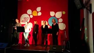 Voice+Music Academy Zürich Beginner Course