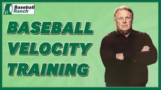  Baseball Velocity Training Program (2024)