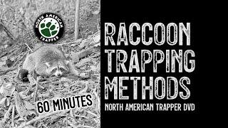 RACCOON TRAPPING with Dog Proof Traps ~ Catch those Nest Raiders