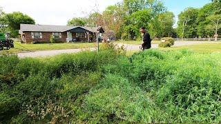 What happened with this nightmare yard? The neighbor told me "WE JUST DON'T LOOK OVER THERE "