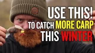 The Ultimate Guide To Winter Carp Fishing  | Bait Tips | Spod Mix | Stick Mix | Liquids | Maggots