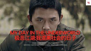 【Feature Film】极恶江湖:我混黑社会的日子 My Days in the Underworld (2016)