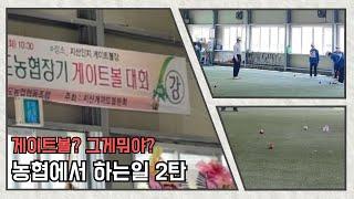 #김대리 | 농협브이로그 | 농협에서 하는일 | 게이트볼대회 | 지역농협인의 하루