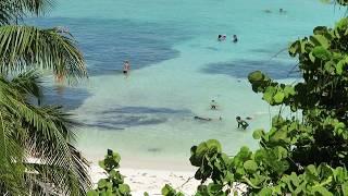 The Beach at Hyatt Ziva Cancun