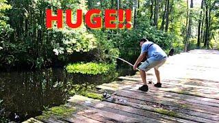 River Fishing For CATFISH From a HISTORIC Wood Bridge {Catch Clean Cook} BIG Catch!!