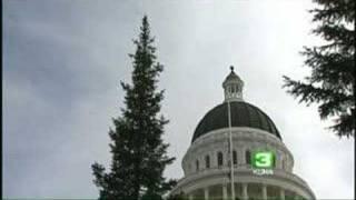 Capitol, K Street Christmas Trees Arrive