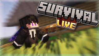 Minecraft Survival | LIVE