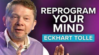 Eckhart Tolle on Finding Your Identity, Meaning & Purpose in Life