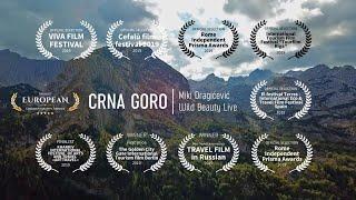 Crna Goro - Miki Dragićević | Wild Beauty Live