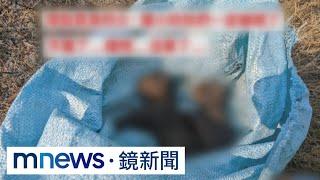 農民燒雜草釀巢穴起火　兩小石虎成焦屍｜#鏡新聞