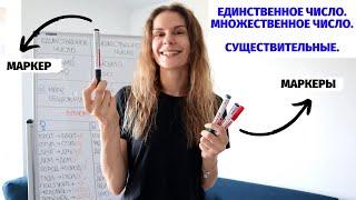 Множественное число. Существительные || Число: единственное и множественное