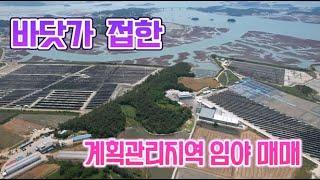 # 1736 신안군 지도읍 바닷가 접한 계획관리지역 임야 매매