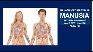 Rahasia Kerja Organ Tubuh Manusia