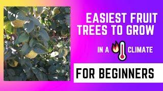 Easy to Grow Fruit Trees for Beginner Gardeners for AZ 9B