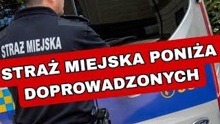 PONIŻANIE DOPROWADZONYCH PRZEZ STRAŻ MIEJSKĄ W KŁODZKU - KOMENTARZ BYŁEGO POLICJANTA