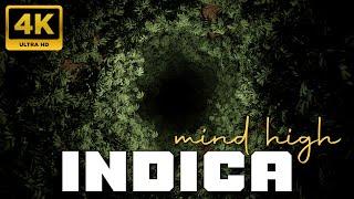 INDICA Mind High Music | WARNING | Intensely Relaxing Weed Effects Animated Video NO ADV  432Hz