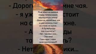 Муж, жена , телевизор   #юмор #анекдот #прикол  #шутки