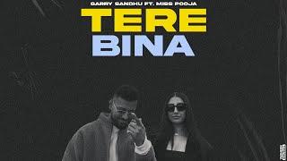 Tere Bina - Garry Sandhu ft Miss Pooja | New Punjabi Video Song 2024