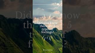 5 Types of Feelings: How They Shape Your Life  | Natural Way of Living