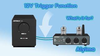 How to Connect a Preamp and Power Amp Using the 12V Trigger Function | Complete Guide