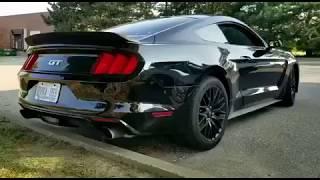 727WHP Mustang GT Venom Having Fun... NOT ONE PERSON HIT DURING THIS VIDEO!!!