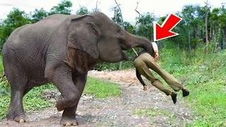 You Must See To Believe! Rare Animal Moments Caught on Camera