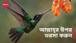 আল্লাহ্‌র উপর ভরসা করুন | দুশ্চিন্তা ও ঋণ থেকে মুক্তি - শায়খ মুখতার আশ-শানক্বিতি