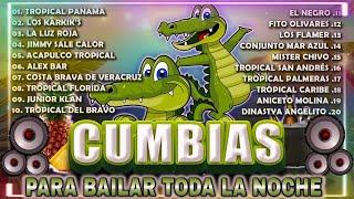 CUMBIAS EXITOS PARA BAILAR TODA LA NOCHETROPICALES MIX 2024CUMBIAS MIX 2024