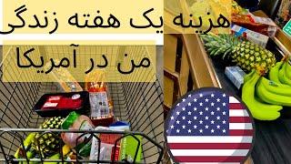 هزینه یک هفته زندگی من در آمریکا.