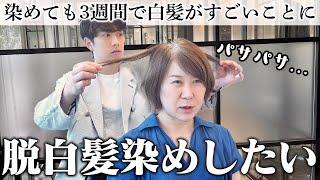 【40代くせ毛さん】3週間で白髪がすごいことに...ずっとこのままはイヤ！助けてください！