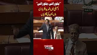 Billo Rani Full Video | Raja Pervaiz Ashraf Speech | Chaos in Parliament