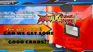 *LETS BUY 9 CARDS!!!* Animal Kaiser plus 2024!!!