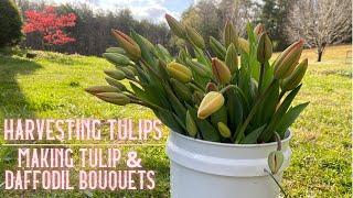 Harvesting Tulips | Making Tulip & Daffodil Bouquets for a Local Market